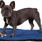 K9 Ballistics Tough Ripstop Dog Crate Pad - Durable & Machine Washable with Non-Skid Bottom and 120-Day Warranty, Fits 24" Wire Crates - X-Small, Blue Quartz