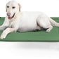 Elevated Dog Bed for Large Dogs - Heavy Duty, Recyclable Mesh, Fits Up to 150 LBs - Indoor & Outdoor, Green