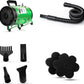PetLife Professional 5.2HP Dog Dryer with Heater, high Velocity Dog Hair Dryer, Low Noise Grooming Blower for Dogs, Adjustable Pet Force Dryer for Home and Salon Use