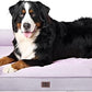 EHEYCIGA Orthopedic Dog Beds for Extra Large Dogs, Waterproof Memory Foam XXL Pet Bed with Sides, Non-Slip Bottom and Egg-Crate Foam Big Dog Couch Bed with Washable Removable Cover, Lilac