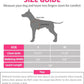PUPTECK No Pull Dog Harness Soft Adjustable Basic Nylon Step in Puppy Vest Outdoor Walking with Leash Medium