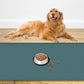 48" x 32" Largest Pet Food Mat, XXXL Silicone Dog Mats for Food and Water, Nonslip Pet Feeding Mats for Floors,Dog Cat Bowl Mat with Raised Edges, Dark Green