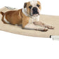 Veehoo Elevated Dog Bed for Outdoor, Cooling Waterproof Raised Dog Cots Beds for Medium Dogs, Curved Off Ground Pet Hammock Cot Lifted for Outside, up to 65lbs, White Legs, Beige 32"
