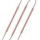 3 Pieces Dog Dental Tooth Scaler and Scraper Stainless Double Headed Tarter Removing Tool Scraper Pet Teeth Cleaning Tools for Dog and Cat (Rose Gold)