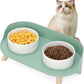 Elevated Dog Bowls Set, Ceramic Pet Food & Water Bowls with Non-Slip Stand, No Spill Design for Cats/Small Medium Dogs Green