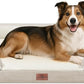 Comfort Expression Large Dog Beds Waterproof Orthopedic Foam Dog Sofa Beds Comfy Pet Bed with Washable Removable Cover & Non-Slip Bottom(Large,Beige)