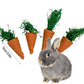 Hamiledyi Rabbit Seagrass Activity Mat Bunny Mat Rabbit Enrichment Toys Rabbit Chew Toys for Teeth Seagrass Protector Mat Small Animal Toys for Rabbit Bunny Chinchilla Guinea Pigs Rodent Pets