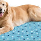 Ownpets Dog Cooling Mat, XX-Large 47 x 31 Inch Thick and Waterproof Cooling Pad for Summer, Water-Filled Pet Mat for Large Dogs, Leakproof Design for Crate, Bed, Sofa, Floor and Car Seat