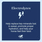 SmartLytes Horse Electrolyte Powder Supplement | Encourages Hydration, Replenishes Electrolytes | No Added Sugar | Cherry Flavor | 56 Servings | 3.5 lb Bucket