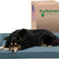 Furhaven Cooling Gel Dog Bed for Large/Medium Dogs w/ Removable Bolsters & Washable Cover, For Dogs Up to 55 lbs - Pinsonic Quilted Paw L Shaped Chaise - Bluestone, Large