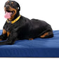 K9 Ballistics Tough Ripstop Orthopedic Rectangle Dog Bed Removable Washable Cover, Solid Orthopedic Foam for Size XL X-Large Dogs 54"x38", Blue Quartz
