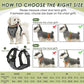 SlowTon Dog Seat Belt Harness for Car, Dog Car Harness Adjustable Mesh Breathable & Dog Seatbelt Safety Tether with Elastic Bungee for Small Medium Large Pets(Grey, Double Clip, XXXS)