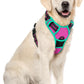 rabbitgoo Dog Harness No Pull with 2 Leash Clips, Adjustable Soft Padded, Reflective Oxford No Choke Pet Vest with Easy Control Handle for Large Dogs, Hot Pink & Turquoise, XL