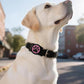IP68 Waterpoof Dog Air tag Holder, Stretchy Silicone Full Body Covered Apple Air Tag Holder for Dog Cat Collar Fit All Width Collar (Black & Rose, 1 Pack)