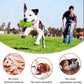 Dog Chew Toys, Toothbrush Stick Teeth Cleaning Brush Dental for Small Medium Large Dog, Rubber Squeaky Toys for Aggressive Chewers Cactus Tough Toys