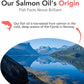 Salmon Oil for Dogs - Healthy Skin & Coat, All Natural Norwegian Fish Oil Food Supplement for Pets, Omega 3 EPA DHA, Ideal for Shedding, Allergy, Itching, Dry Skin, Joint & Bone Health - 16.9 Oz