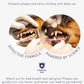Natural Dog Teeth Cleaning Oral Care Spray - May Help with Bad Breath - May Support Plaque and Dental Care for Cats - May Help Reduce Plaque for Dogs and Cats - 3.4 oz