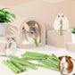 Bissap 25 PCS Guinea Pigs Chew Sticks, Natural Papaya Stems Bunny Chews Treats for Hamsters Chinchillas Small Animals Organic Molar Chewing Snack