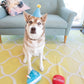 ZippyPaws Birthday Box - Dog Squeaky Toys to Keep Them Busy, Funny Food Plush for Small, Medium, & Large Dogs, Cute Stuffed Puppy Toy & Hat, Pet Products, Gift for Dogs of All Breeds - 3-Pack