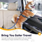 Petbobi Dog Seat Belt for Car - 2 Pack Chew Proof Durable Dog Seatbelt Tether for Small Medium Large Pets - Metal Vehicle Harness Restraint with Double Clips and Latch - Car Leash for Safety Travel