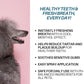 Dog Breath Freshener, 8 oz - Fights Plaque, Tartar & Bad Breath - Gentle Gum Care & pH Balance - Dog Dental Care for Cat and Dog - No-Brush Solution