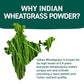 HANDPICK USDA Organic Wheatgrass Powder (10oz) Rich Green Powder - Lab Tested | 100% Whole Leaf | Gluten Free, Non-GMO | No Sugar, No Artificial Ingredients | Resealable Ziplock Pouch