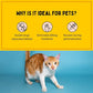 Fresh Breath Oral Strips for Dogs & Cats | Natural Spearmint & Thymol for Easy and Convenient, All-Natural Oral Care (30 Oral Dissolving Strips)
