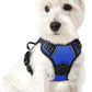 rabbitgoo Dog Harness No Pull with 2 Leash Clips, Adjustable Soft Padded, Reflective Oxford No Choke Pet Vest with Easy Control Handle for Puppy, Dazzling Blue,XS