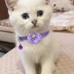 16 PCS Cute Cat Collars Breakaway with Bell for Boy Cats and Girl Cats Gifts