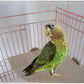 Parrot Cage Perch,Wooden Platform Stand,Cage Perches,Tree Springboard,Corner Shelf Laddered,Hanging Swing,Natural Wood Branches for Parakeets Bird Chinchilla Hamster Guinea Squirrel Hedgehog