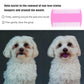 Cat & Dog Grooming Set - Fine Tooth Comb For Grooming And Removing Dandruff Flakes Remove Float Hair Tear Marks (pink)