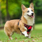 rabbitgoo Dog Harness No Pull with 2 Leash Clips, Adjustable Soft Padded, Reflective Oxford No Choke Pet Vest with Easy Control Handle for Medium Sized Dogs, Red, M
