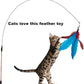 Cat Feather Toys Refills, 10 Pieces Interaction Cat Wand Replacement Feathers Toy for Indoor Cats