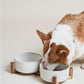 LE TAUCI Dog Bowl Set with Acacia Wood Stand - 1.5-Cup Ceramic Puppy Bowls for Small Dogs, Dual Food and Water Bowls with Weighted Non-Slip Base, Clover