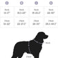 2025 New Edition, Fei & Eve MagEase Dog Harness - 3-Second Magnetic Buckles | 3-Point No-Pull Control | Heavy-Duty 900D Nylon | Dual Safety Handles | Breathable Mesh | Adjustable Fit | X-Large, Gray