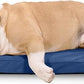 K9 Ballistics Tough Ripstop Orthopedic Dog Crate Bed - Durable Pad with Washable Cover, for Wire Crates, Tie-Downs Included, Size: Medium 35"x22", Blue Quartz