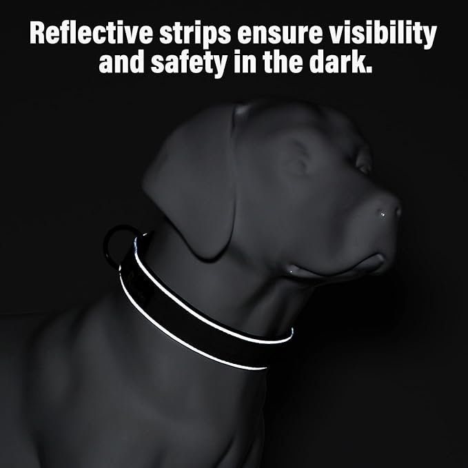 Plutus Pet Tactical Dog Collar, Reflective, Adjustable Heavy Duty Dog Collar, Soft Padded and Comfortable, for Small Medium and Large Dogs (Gray, M)
