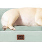 EHEYCIGA Orthopedic Dog Bed for Small Dogs, Waterproof Memory Foam Small Dog Beds with Sides, Non-Slip Bottom and Egg-Crate Foam Medium Pet Couch Bed with Washable Removable Cover, Sage Green
