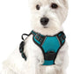 rabbitgoo Dog Harness No Pull with 2 Leash Clips, Adjustable Soft Padded, Reflective Oxford No Choke Pet Vest with Easy Control Handle for Puppy, Teal, XS