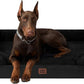 EHEYCIGA Orthopedic Dog Beds for Extra Large Dogs, Waterproof Memory Foam XXL Dog Bed with Sides, Non-Slip Bottom and Egg-Crate Foam Big Pet Couch Bed with Washable Removable Cover, Black