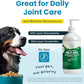 Plant-Based Liquid Glucosamine for Dogs, 1600mg Joint Support with Chondroitin, MSM & Omega 3-6-9, Shellfish-Free Dog Arthritis Supplement for Mobility & Flexibility, Made in USA, 16 oz