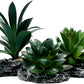 Smoothedo-Pets Reptile Artificial Plants Succulent Terrarium Decor Desert Rainforest Plant Lizard Beard Chameleon Gecko Snake Amphibious Sea Turtle Tank Accessory (Dark-Green-3pcs-Se)