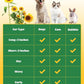 Self-Cleaning Dog & Cat Slicker Brush, Skin Friendly Deshedding Grooming Tool for Long or Short Haired Dogs Cats Rabbits, Dog Shedding Brush with Release Button-Sunflower