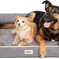 Chester XX-Large Dog Bed - Orthopedic Memory Foam Mattress, Calming Couch Bed, Wall Rim Pillow, Water Resistant Liner, Washable Cover, Non-Slip Bottom, Grey