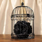 Anderson's Decorative Black Wire Birdcage Wedding Centerpiece, Table Décor, Hanging Decorations, Reusable