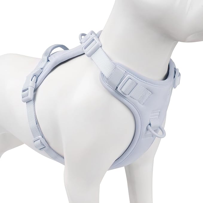No Pull Dog Harness, Puppy Vest with Front Clip for Small Medium Large Sized Dog(Light Blue,L)