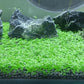4 Pack Aquarium Plant S.e.e.ds, no Artificial Plastic Plant, Fish Tank Live Grass for All Substrate (0.36ozTiny+0.36oz Long+0.36oz Short+0.36oz Big Dual) ZQV-005