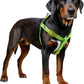 Stripe Step in Dog Harness for Small Dogs, Freedom Nylon Dog Halter Vests, Lightweight and Escape Proof Puppy Harness, Quick Fits for Small Medium and Large Dogs, Green XS