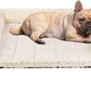 Veehoo Cooling Elevated Dog Bed Add Removable Deluxe Rose Plush Bolster Cushion Mat, 35" x 22" Washable Dog Couch Bed, Raised Pet Cot with Breathable Teslin Mesh, No-Slip Feet, White, CWC2439B