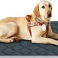 furrybaby Dog Bed Mat Flat Crate Mat with Anti-Slip Bottom Machine Washable Pet Kennel Pad for Dog Sleeping (L 42x28'', Grey Mat)